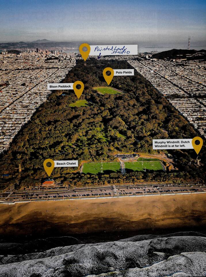 Haight Ashbury Painted Lady Studio 30