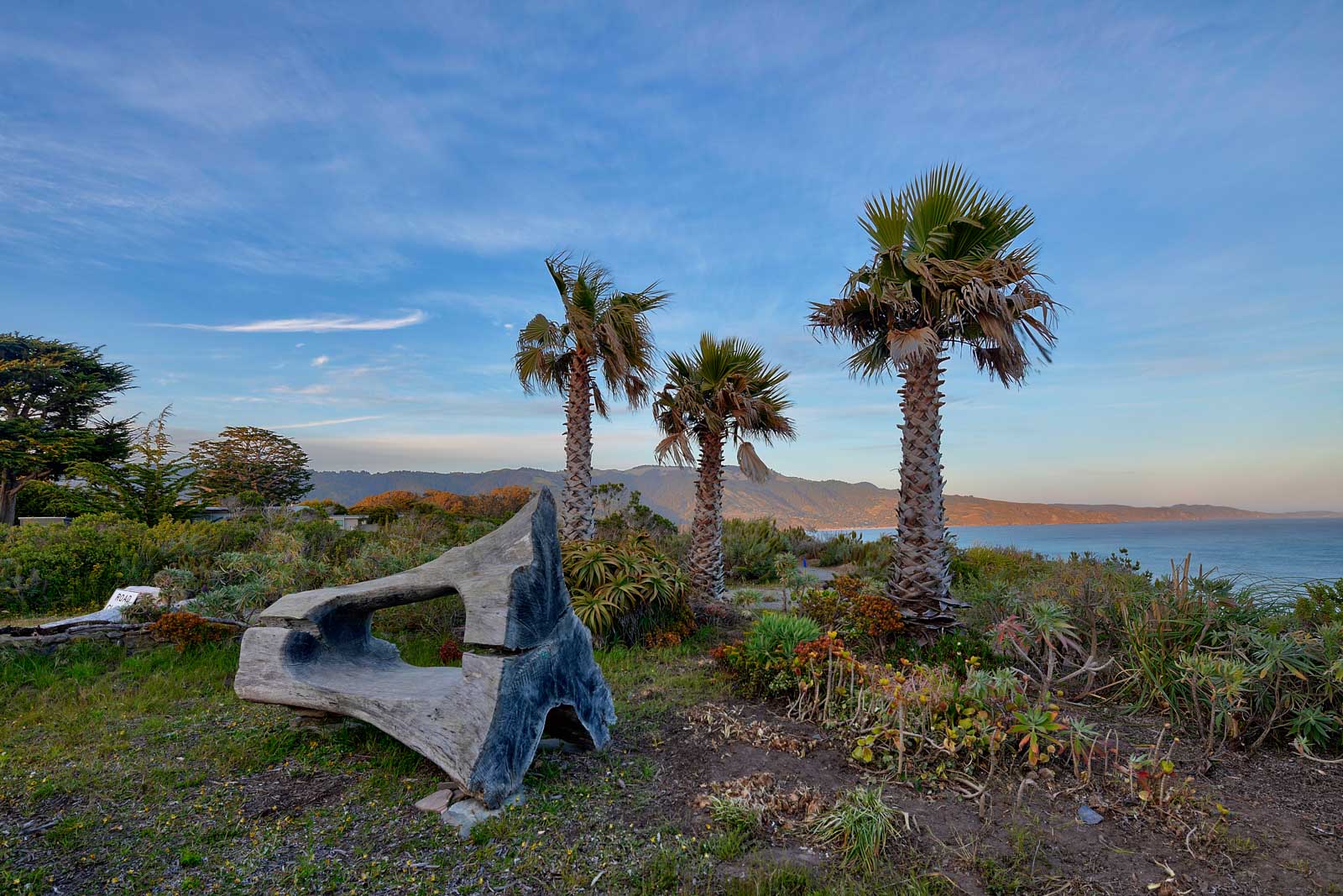 Oceanfront Bolinas hide-a-way 22
